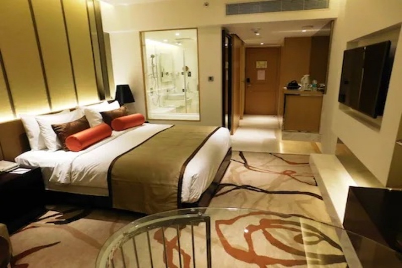 Pride Plaza Delhi - 5